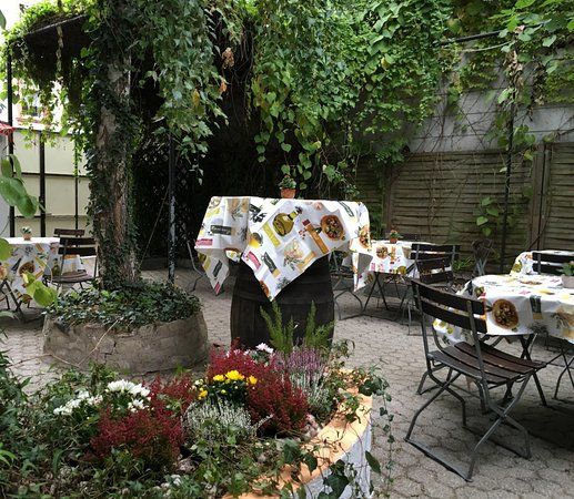 Grune Oase Schwach & Sinn